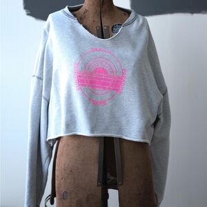 Aerie Gray Crop Top with Pink Graphic